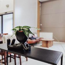 Images Fleahouse Second Hand