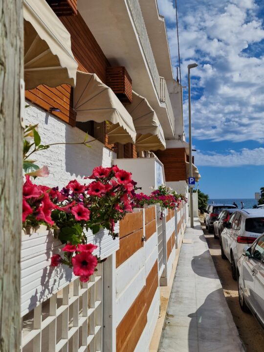 Images Aquarium Residence