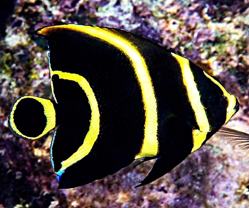 S&L Naturverlag, Bergrat-Mahr-Straße 17 in Ilmenau