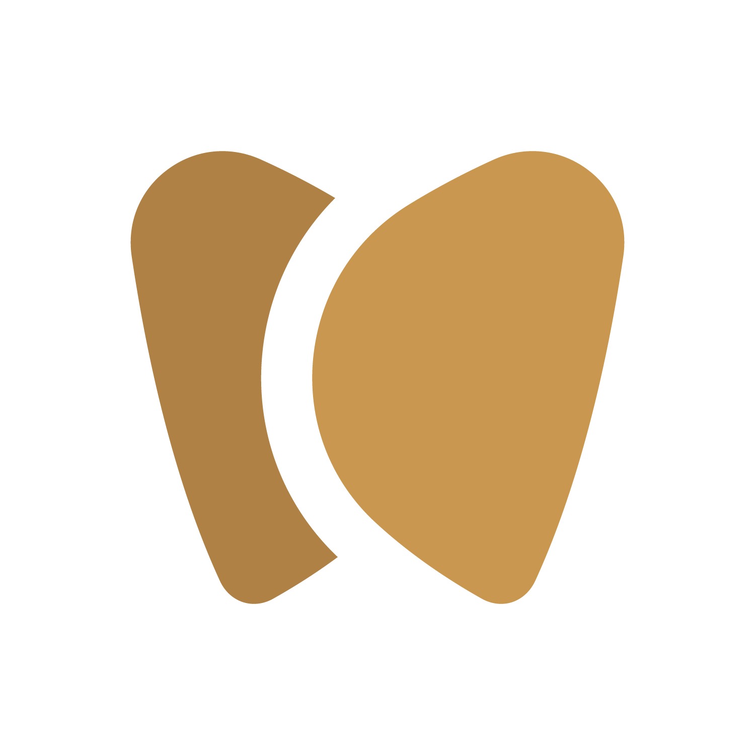 Premier Dental Studio of Katy Logo