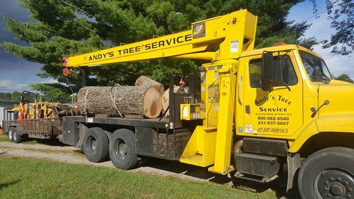 Images Andy's Tree Service