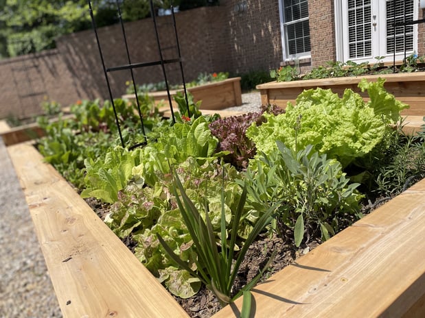 Images Edible Gardens Inc
