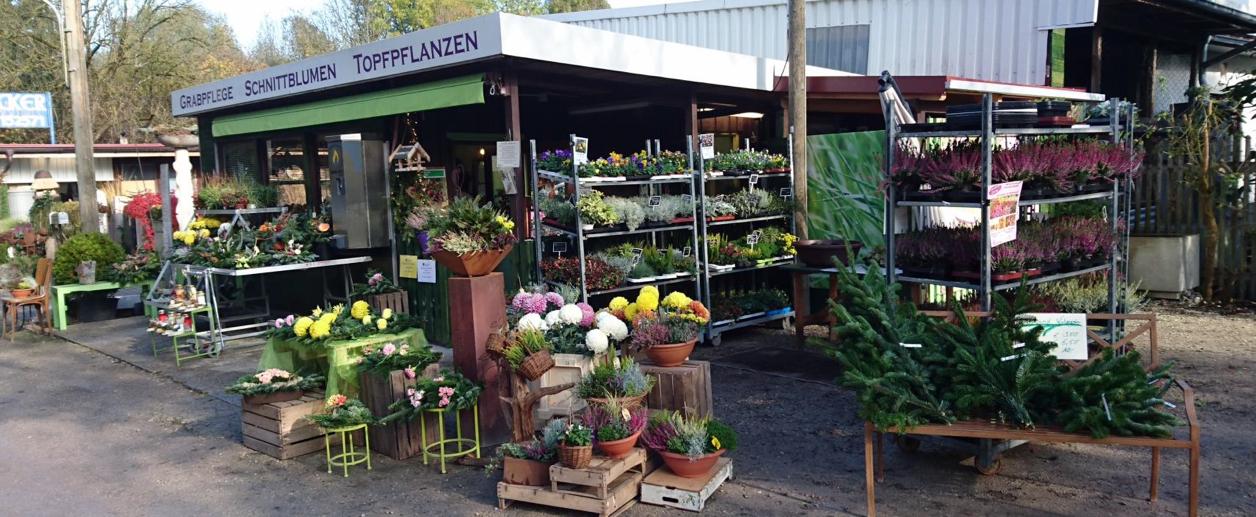 Friedhofsgartenbau / Blumengeschäft Sylvia Held Geschäft