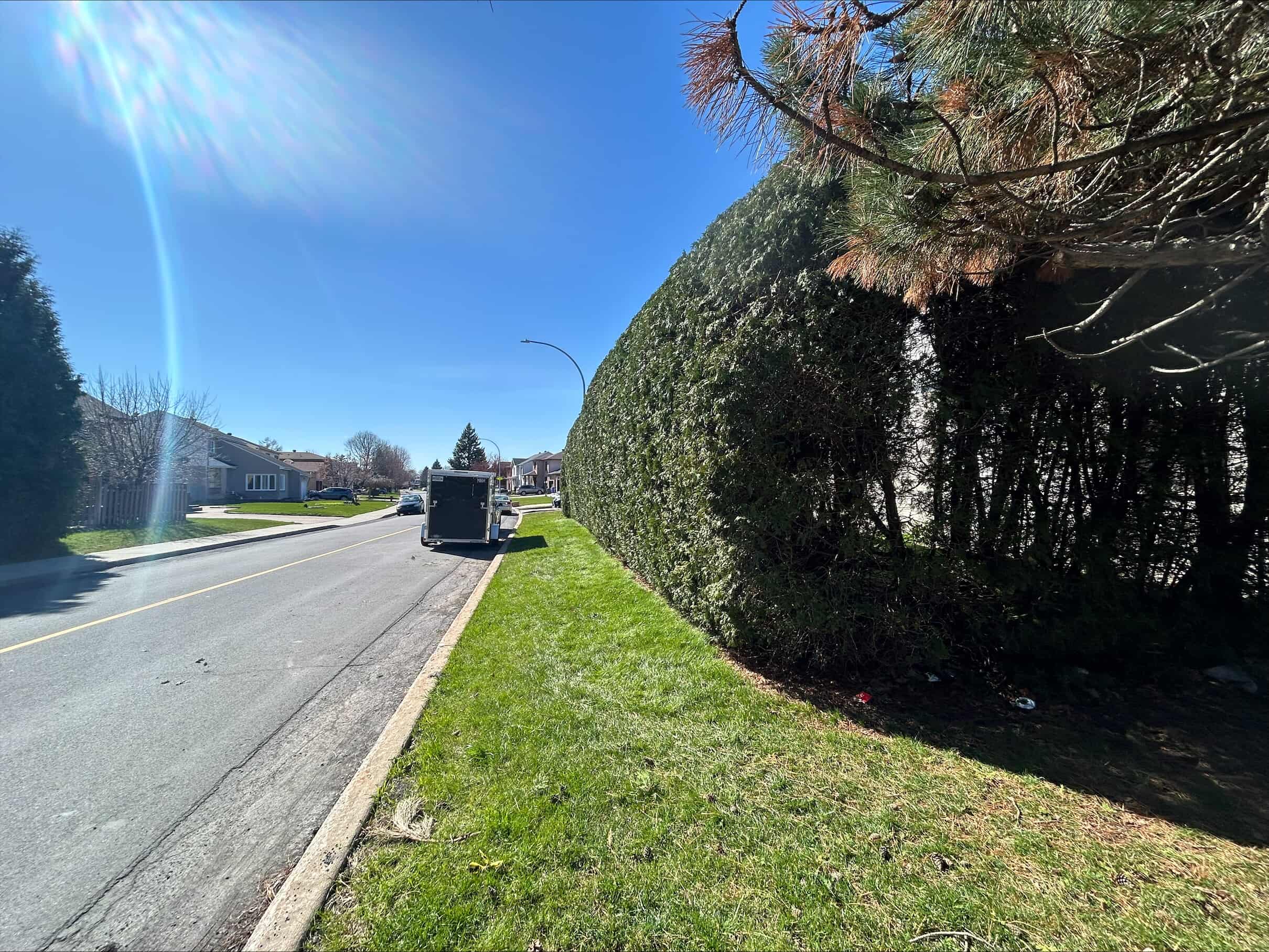 Images Taille de haie EB - Entretien de haie Saint-Hyacinthe