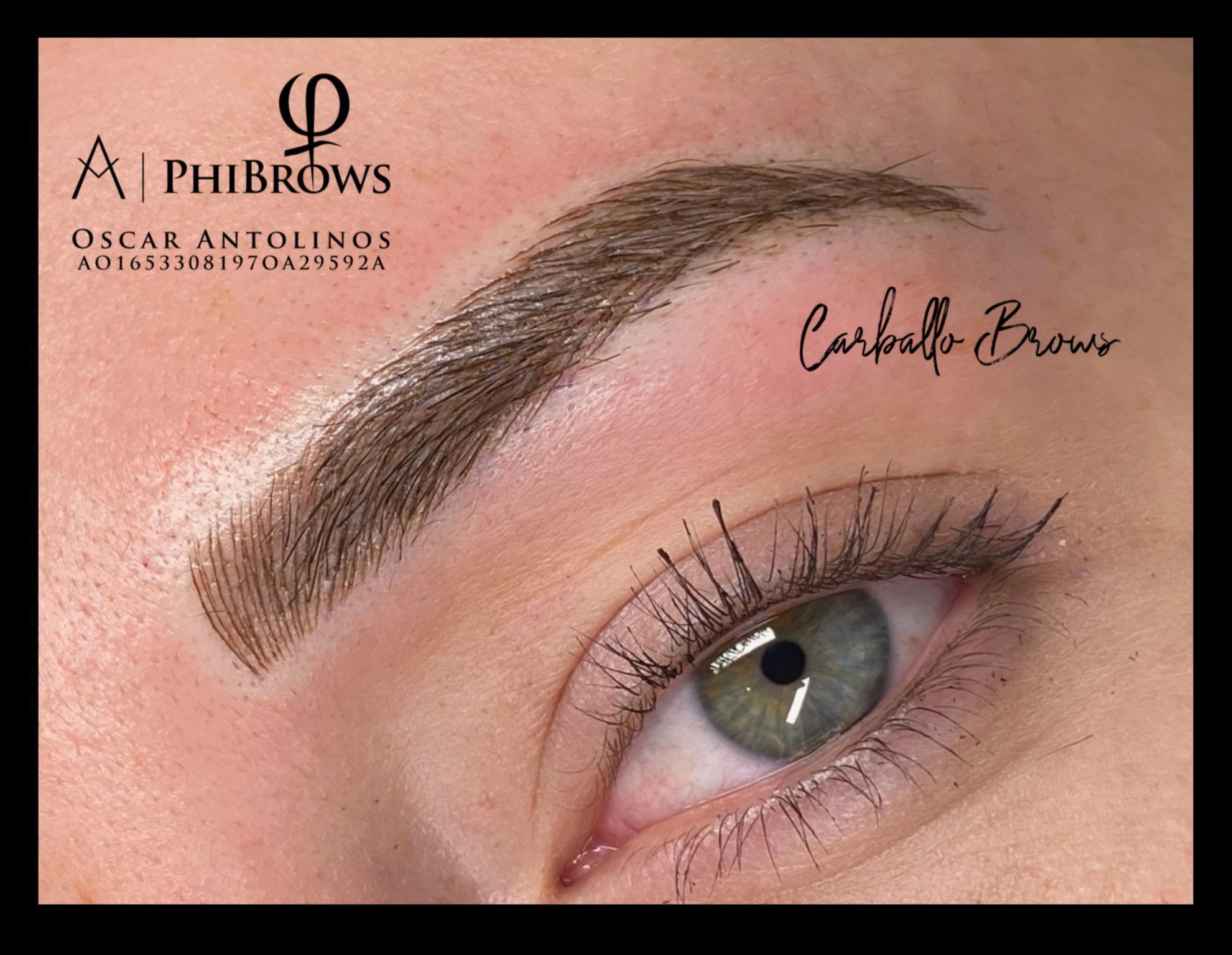 Images Carballo Brows