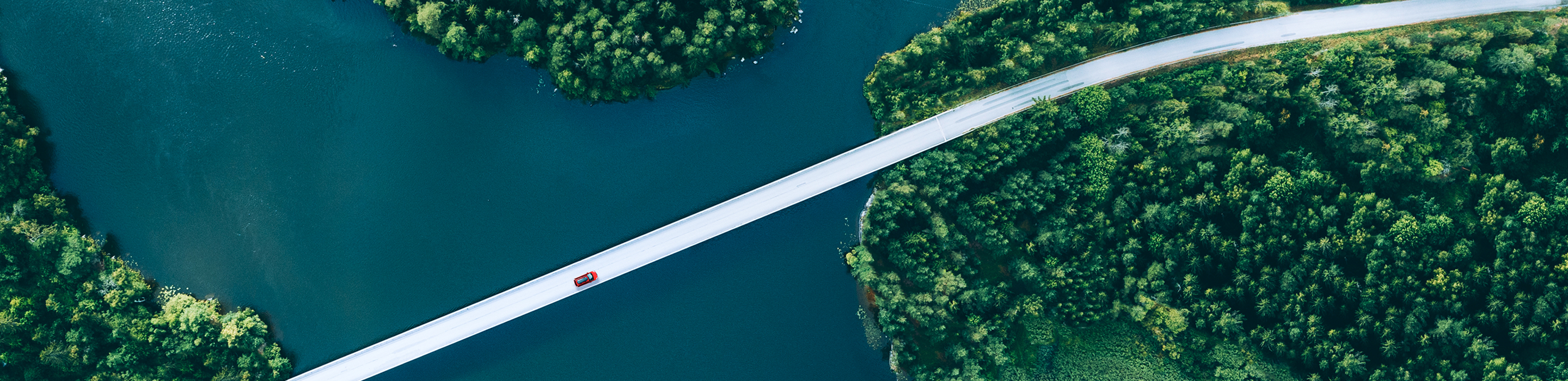 A bridge over a lake, surrounded by dense forest.