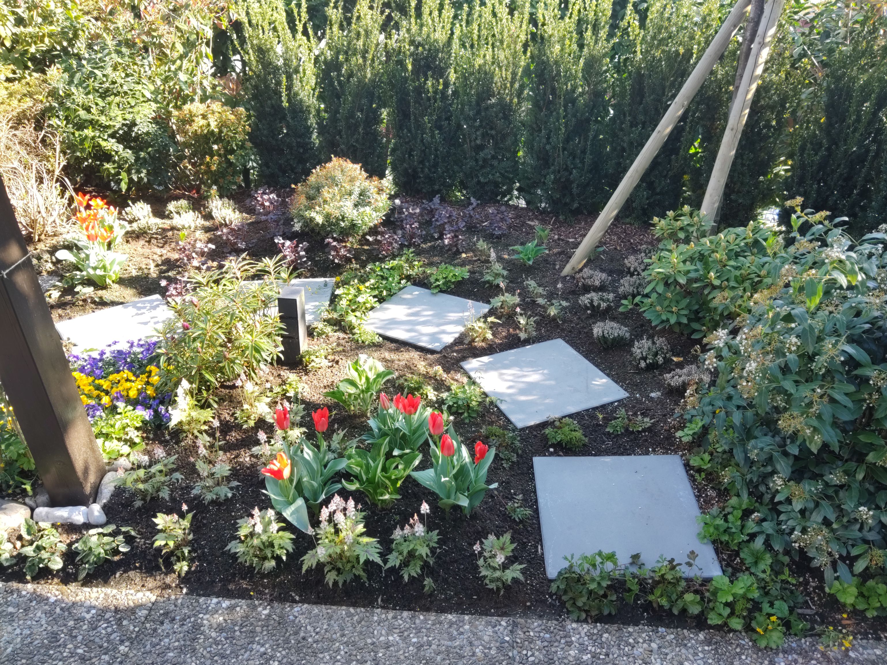 Bilder MM Gartenpflege GmbH