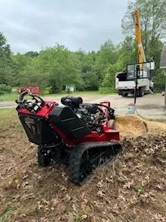 Aubertin Tree Service Image