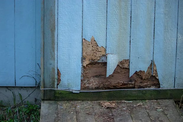 Images Buffalo Roofing & Exteriors