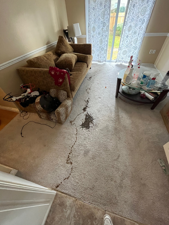 Images PNW Carpet & Duct Cleaning