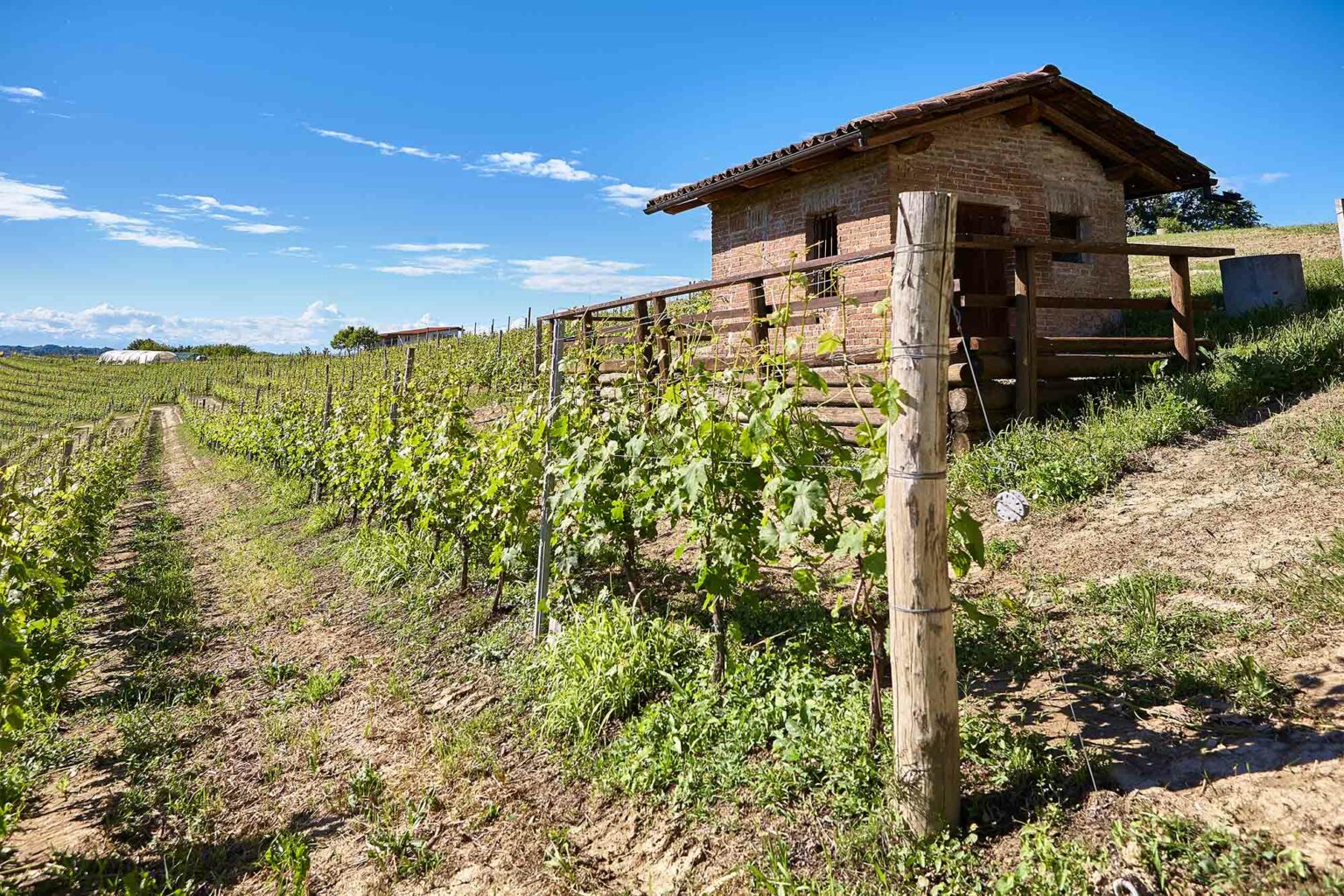 Bilder Vinum Verum GmbH