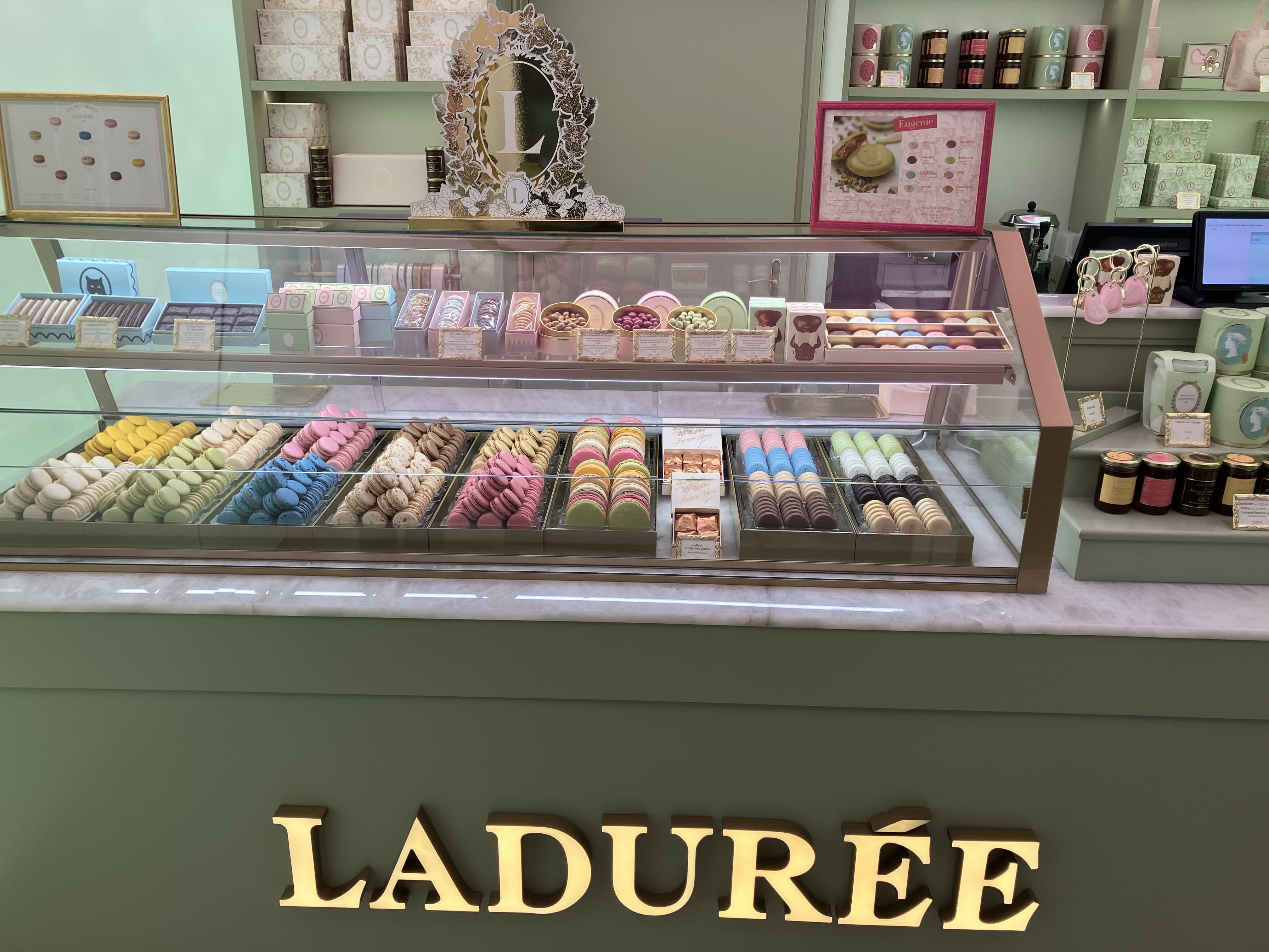 Miniature de la galerie