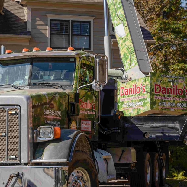 Images Danilo's Professional Tree Service & Landscaping Co