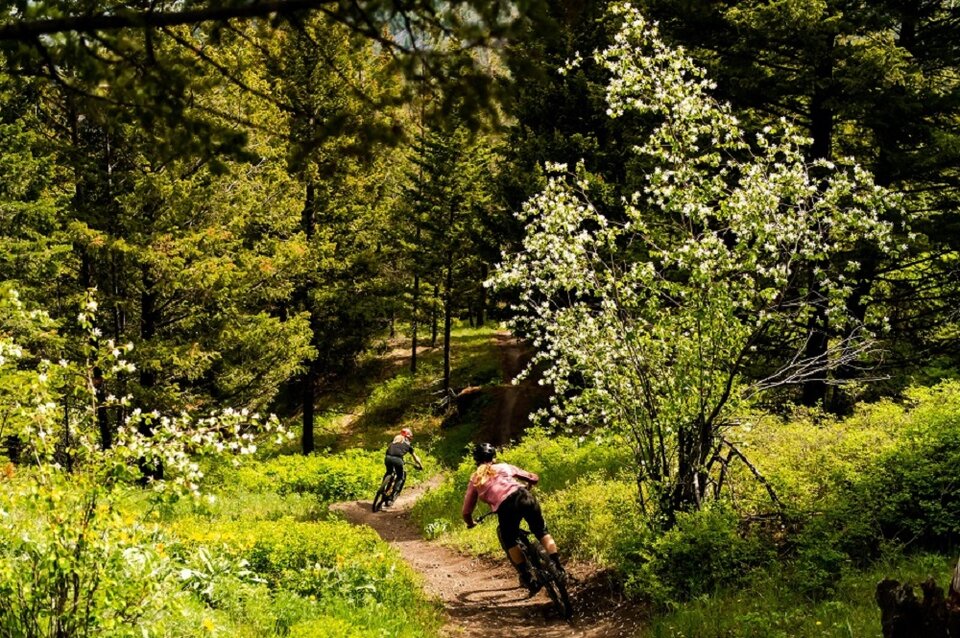 Bilder Infinity Bike Shop GmbH