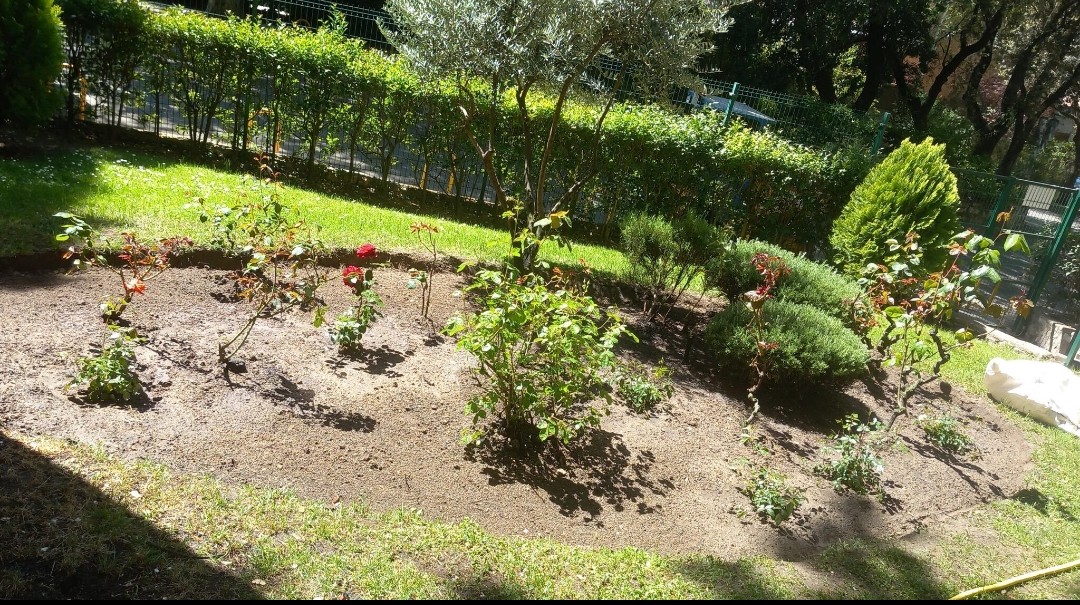 Images Jardines la Sierra