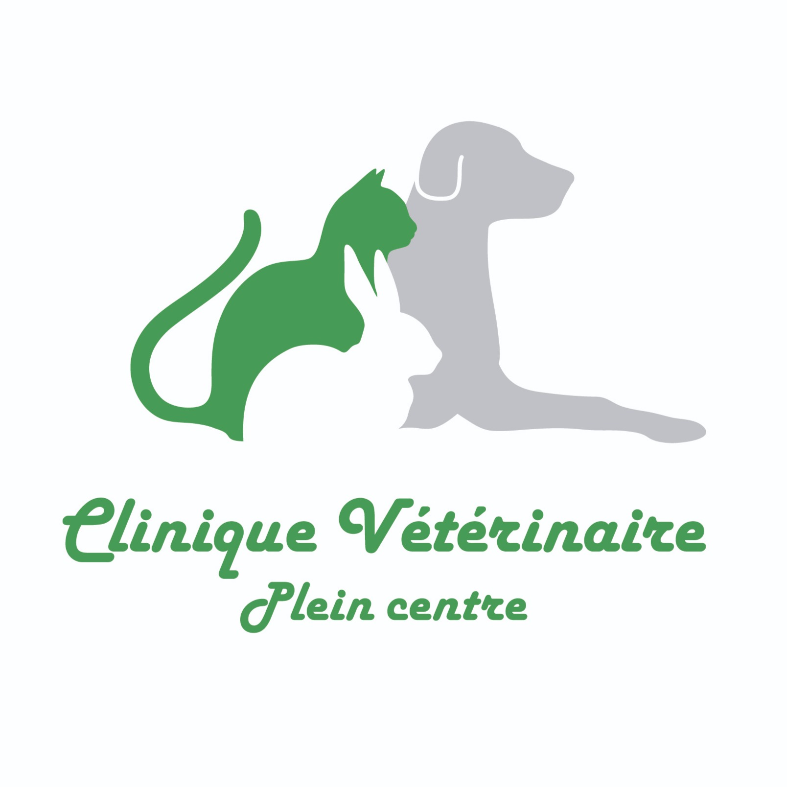 Clinique Vétérinaire Plein Centre vétérinaire