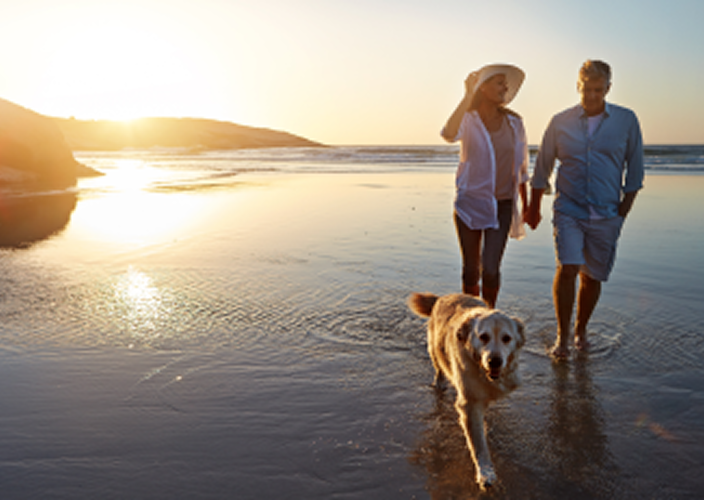 An elderly couple and their dog walking along the beach.