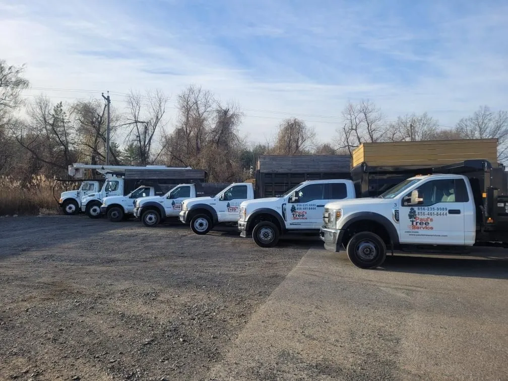 Paul's Tree Service Image