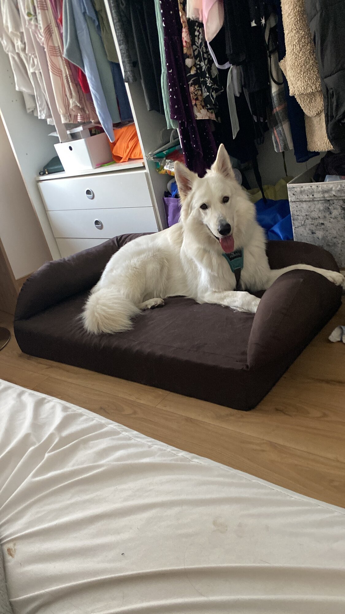 Bild 9 von Central Bark