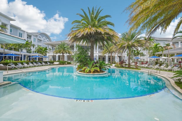 Images Ivory Lantana