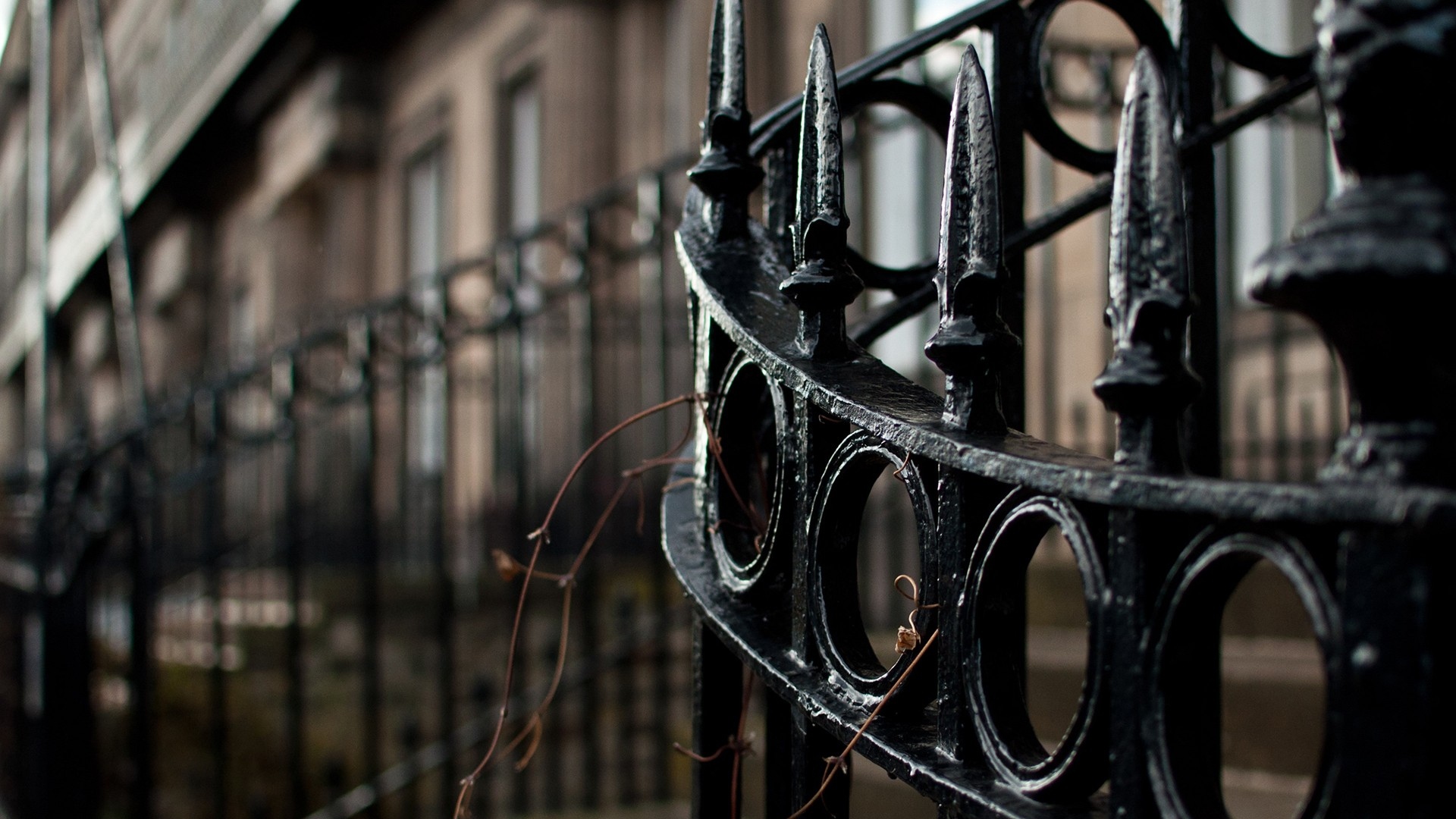 Bild 3 Die Zaunzentrale e. K. in Handorf