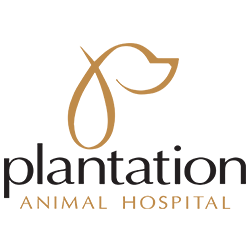 Plantation Animal Hospital