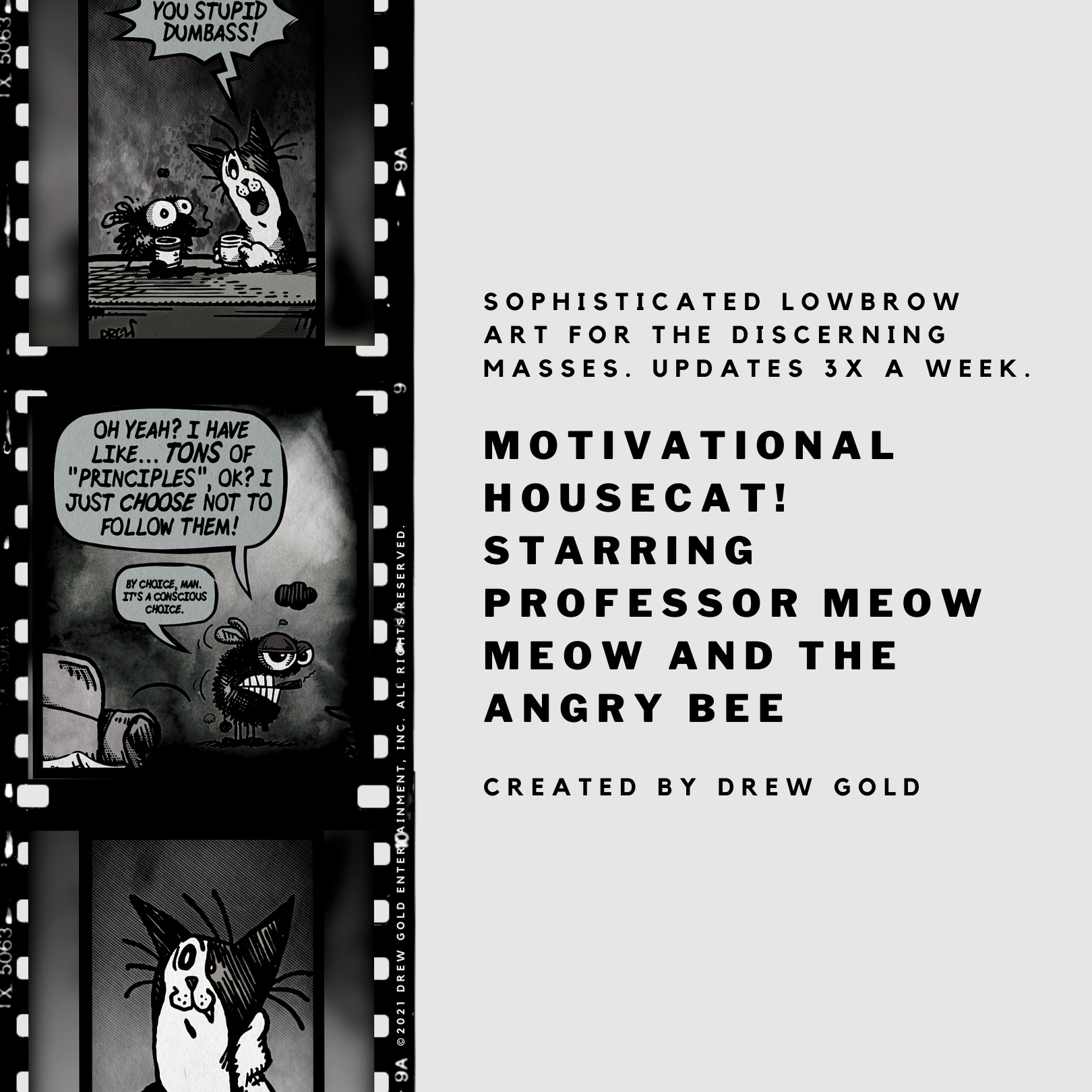 Drew Gold loves making comics and illustrations starring a calico housecat named Professor Meow Meow and an angry bumblebee named The Angry Bee. If you're looking for a great little small press comic, look no further.
