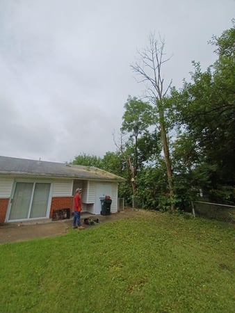 Images Rojas Chops Tree Service LLC