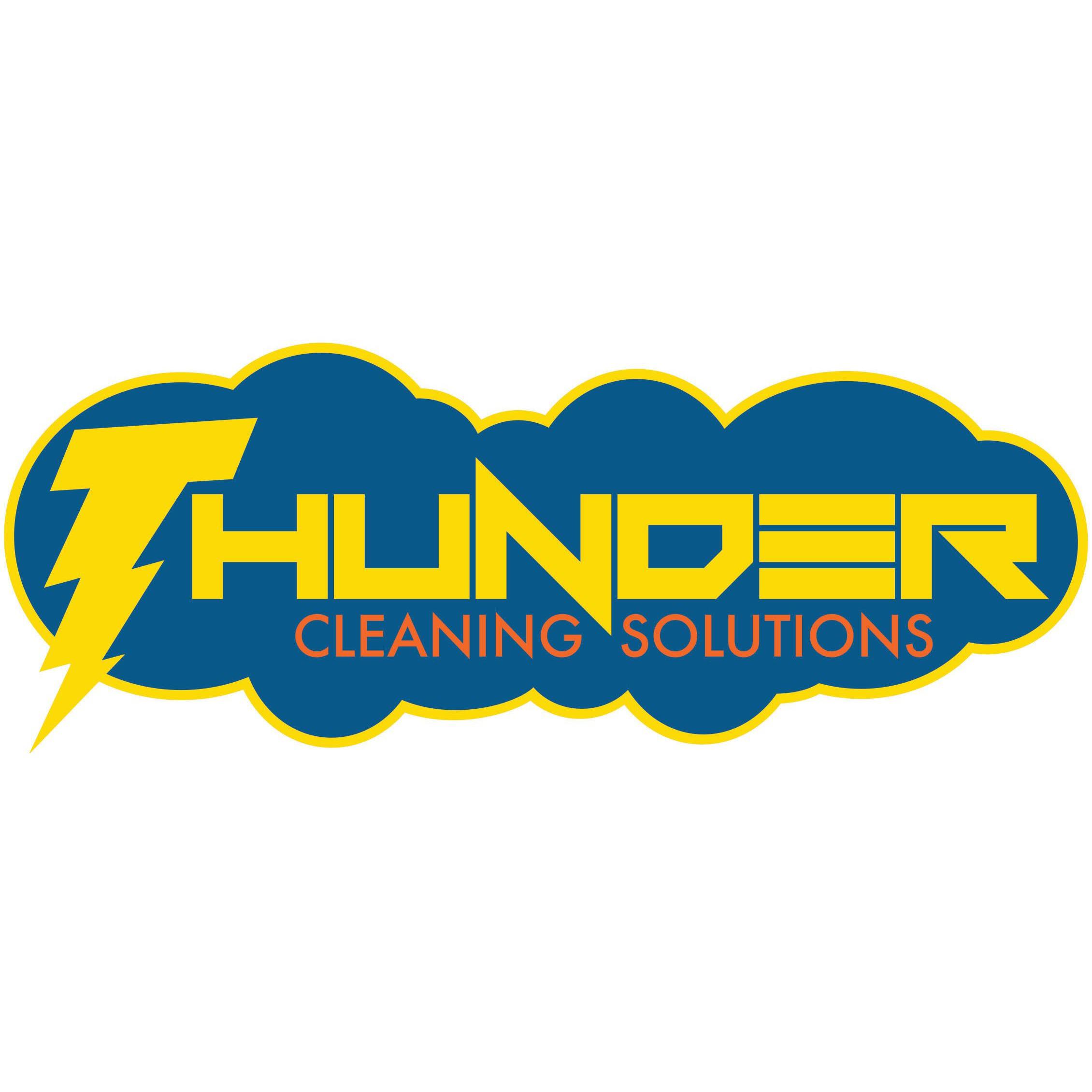 Thunder Cleaning Solutions - Allen Park, MI 48101 - (734)291-6688 | ShowMeLocal.com