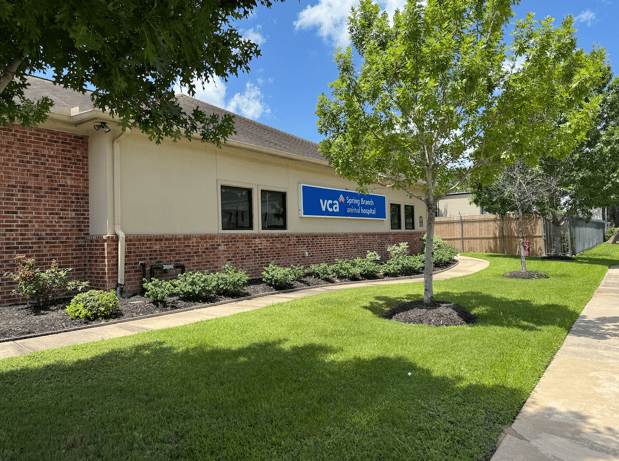 Images VCA Spring Branch Animal Hospital