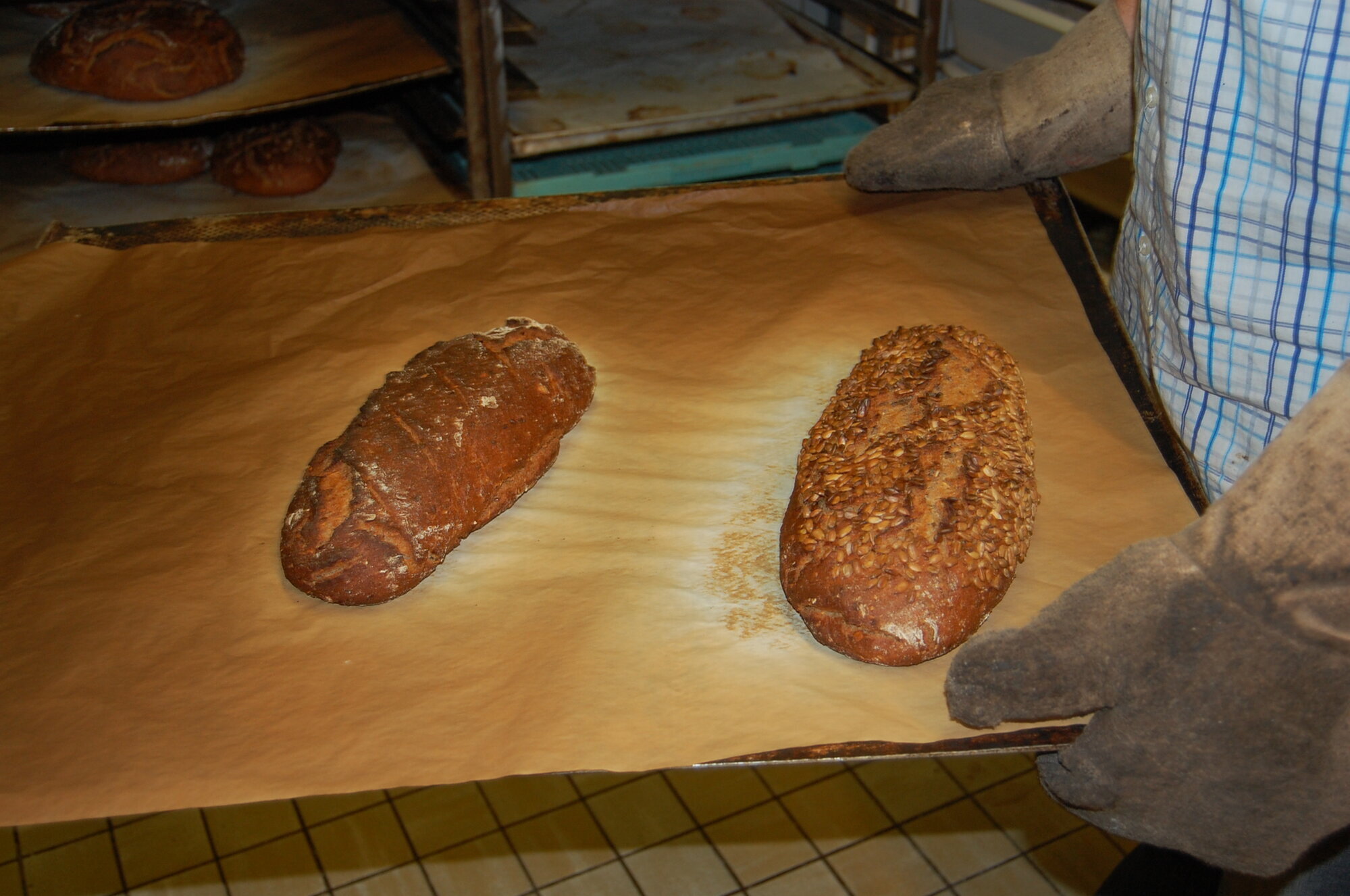 Bilder Brotbackkurse Walzel