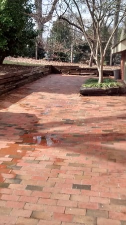 Images Window Hero Durham/Chapel Hill