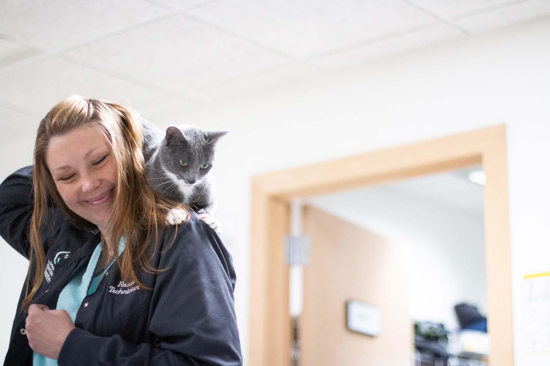 There's nothing quite like kitty snuggles to make the day absolutely purr-fect ;) Lakeland Veterinary Hospital Baxter (218)829-1709