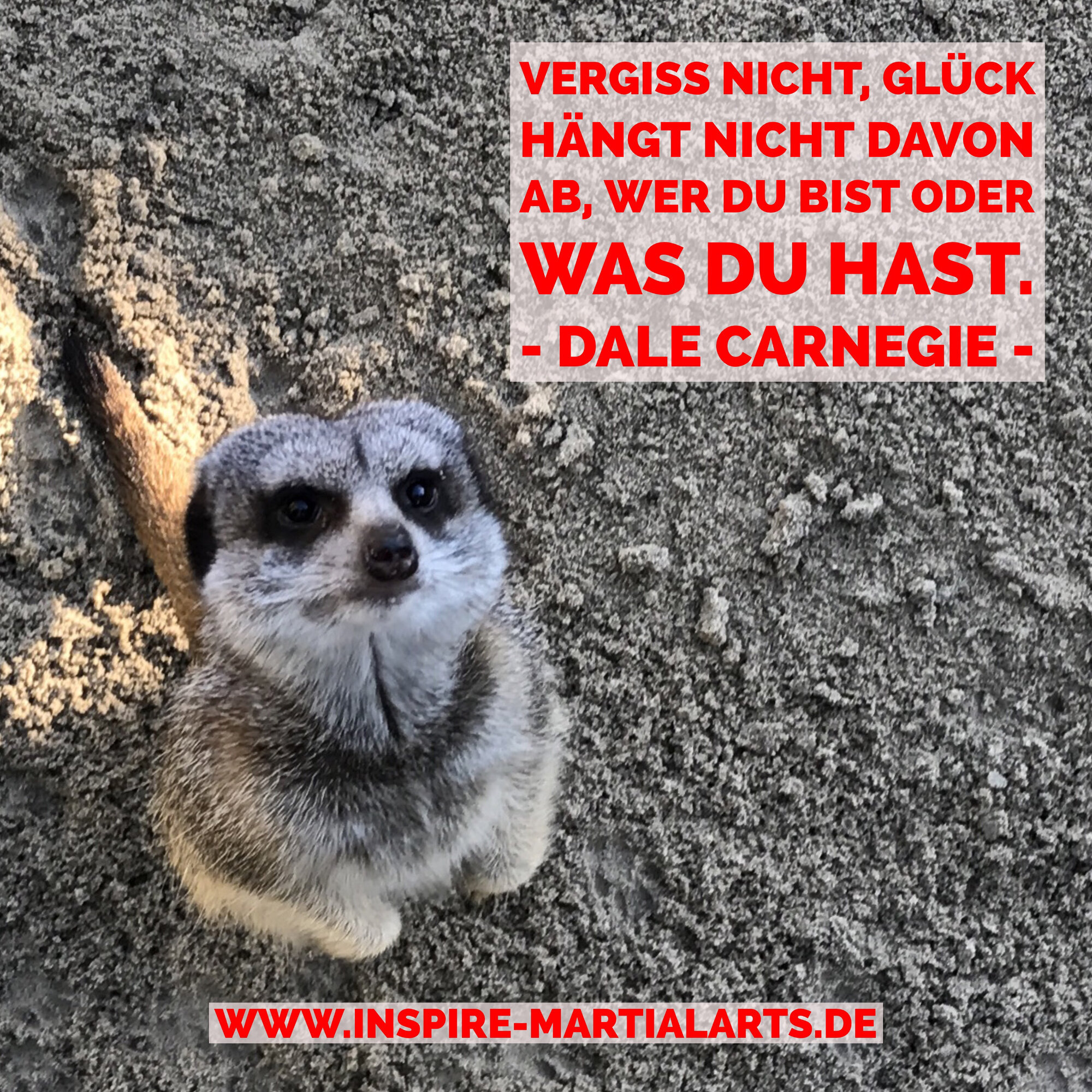 Inspire Martial Arts - Sport Akademie Dr. Lee Detmold, Paderborner Straße 99 in Detmold