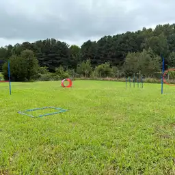 Sniffspot Yolistone Image