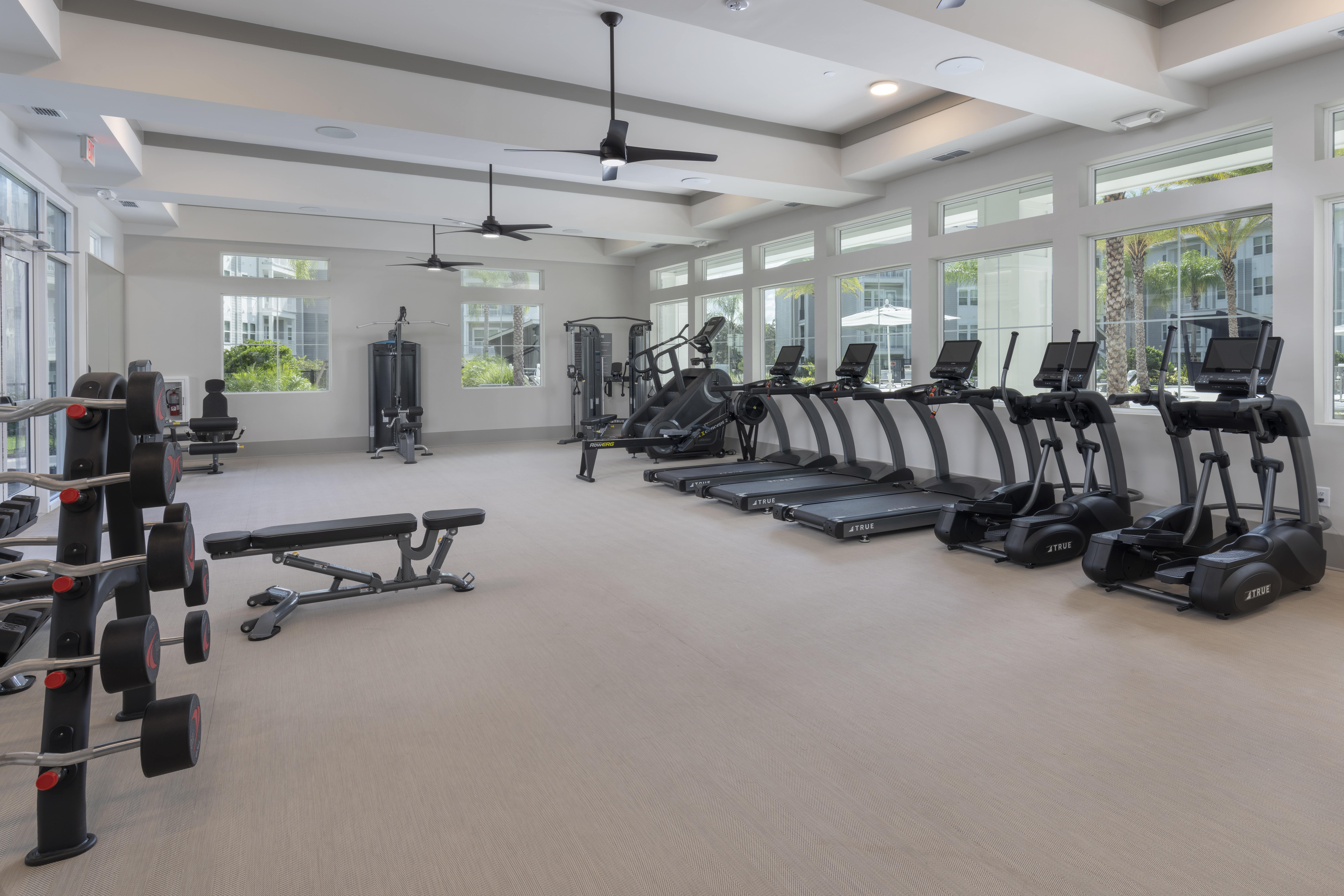 Pet friendly rentals Riverview FL 