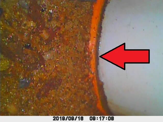 Images Damp Detectives