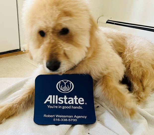 Images Weissman Agency: Allstate Insurance