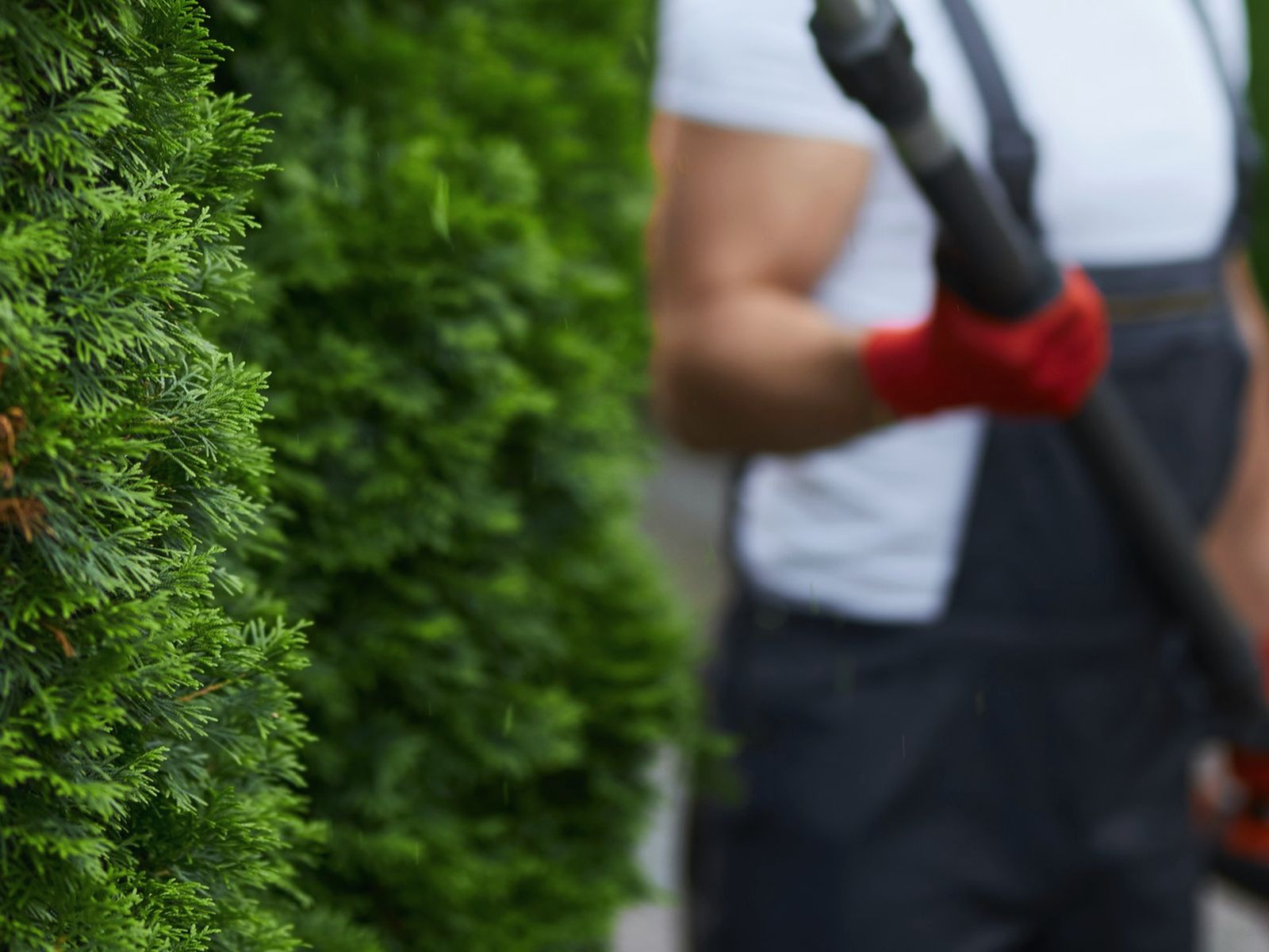 Garden Tree Services, Corp. Logo