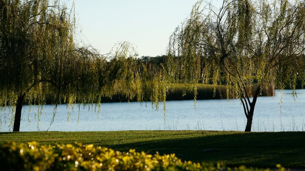 Images Townhomes at Bellalago - Taylor Morrison