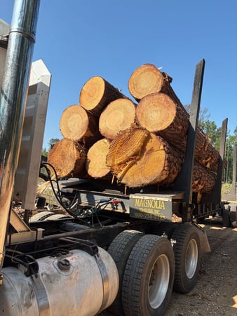 Images Northriver Timber Company