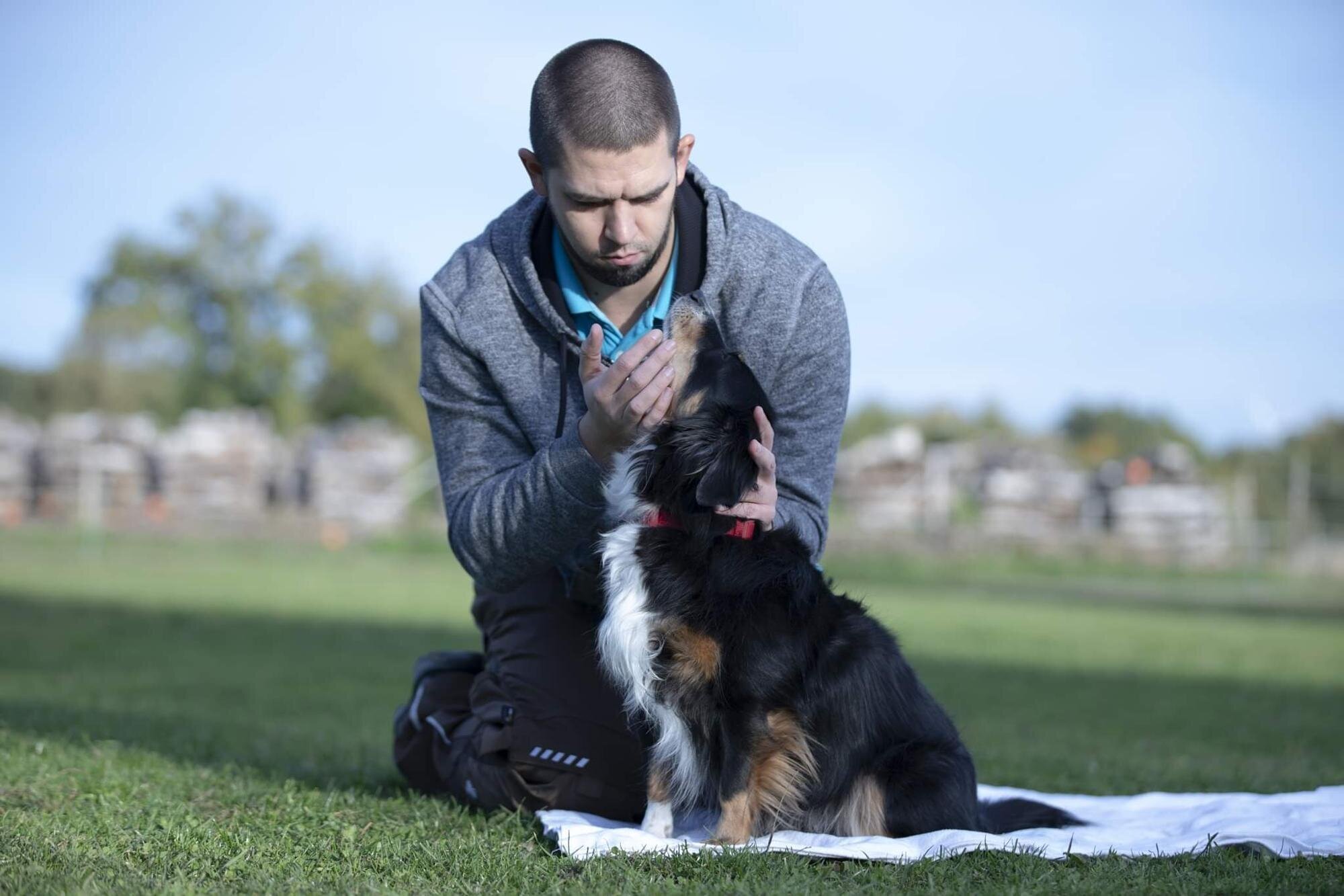 Tierphysiotherapie Leif Atkins - Mobile Physiotherapie für Pferde und Hunde in Ottweiler