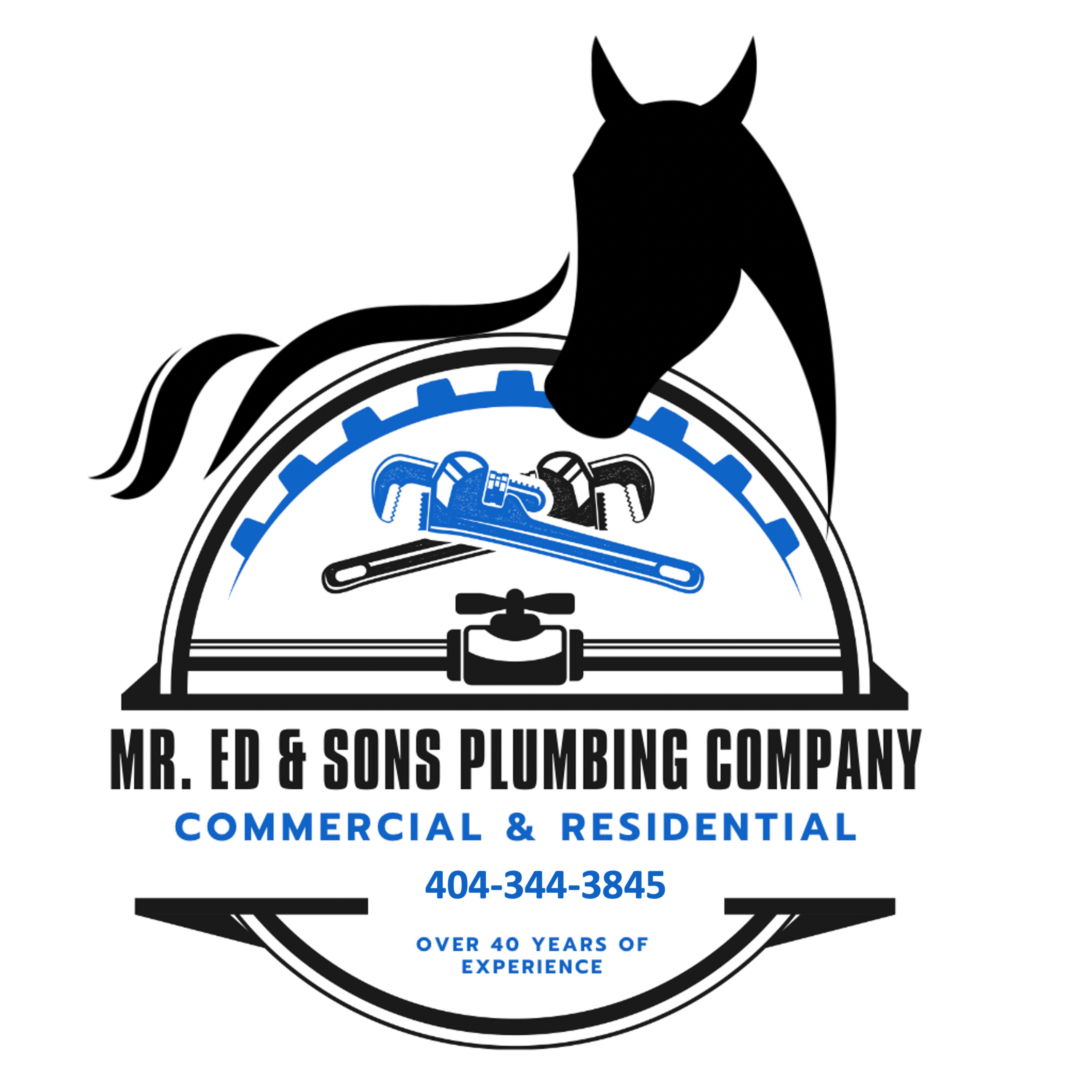 company logo