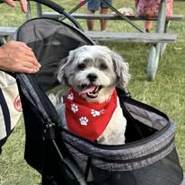 Images Erin Schwan - State Farm Insurance Agent