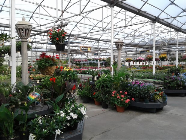 Images Grant Line Garden Center & Nursery