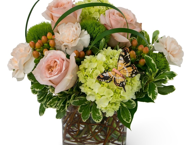 Images Flowers by Cammy, LLC Florist & Flower Delivery