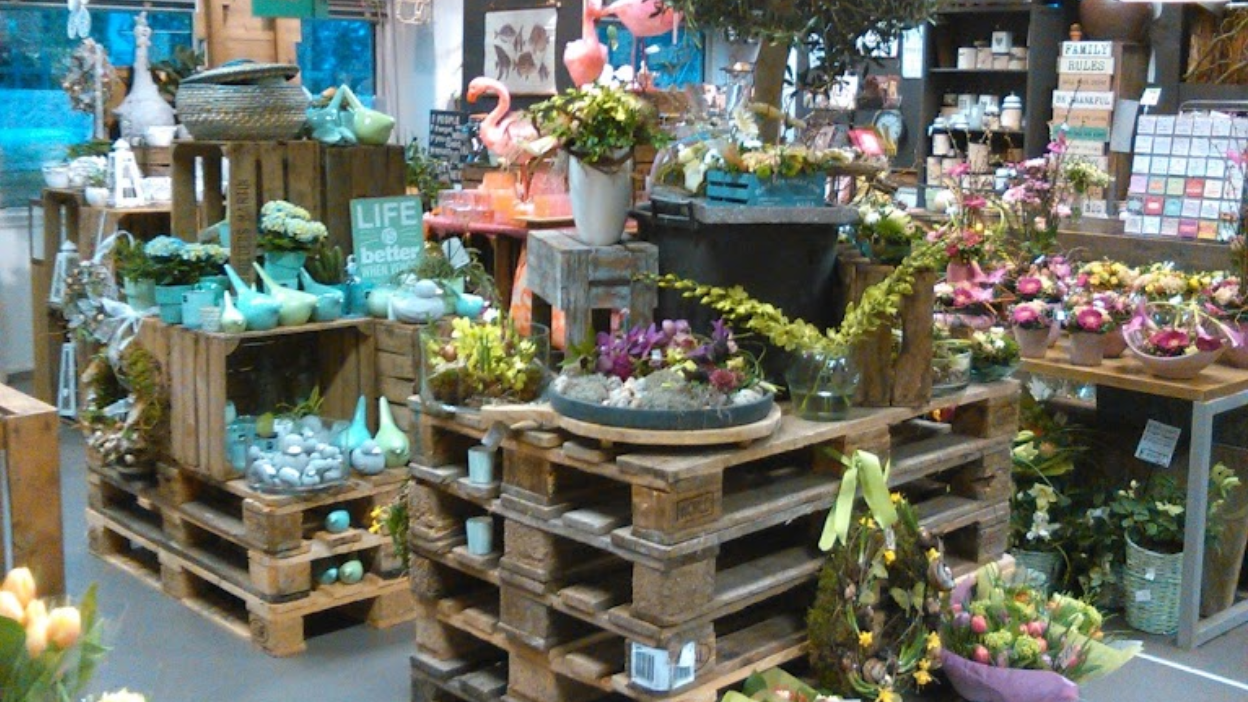 Miniature de la galerie