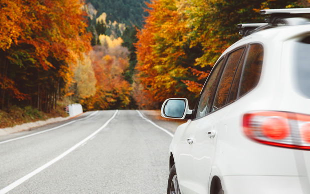 Images Caselli Insurance and Real Estate