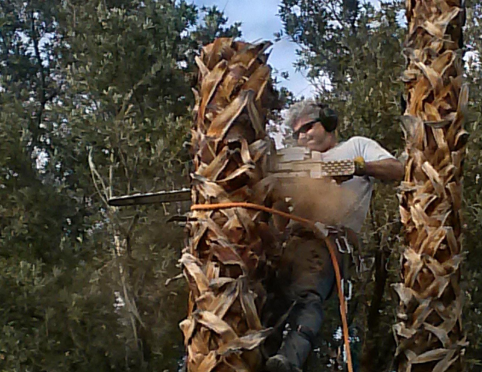 Total Tree Removal