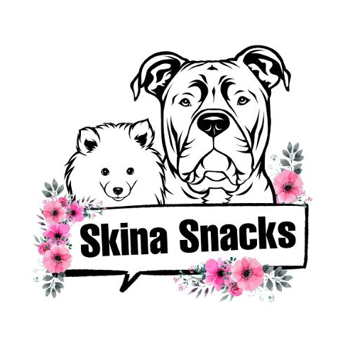 Logo Skina-Snacks